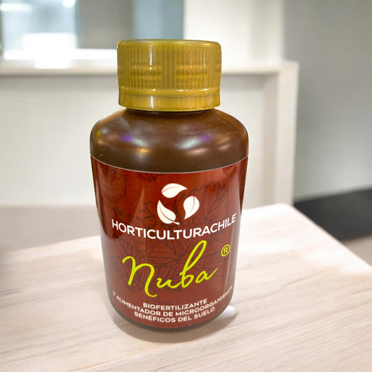 Nuba