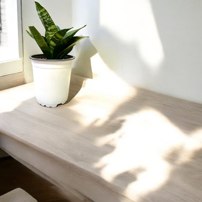 Sansevieria Pagoda