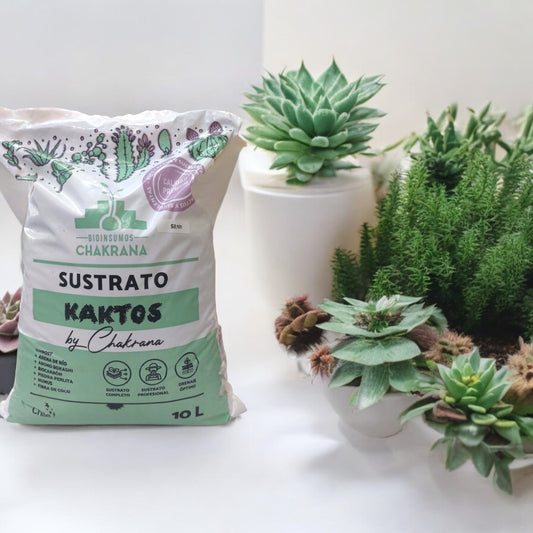 Sustrato Kaktos Bioinsumos Chakrana